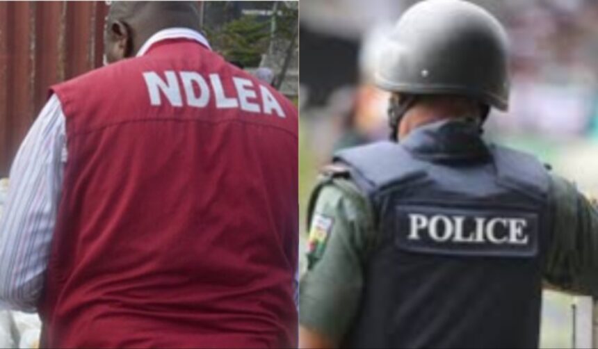 NDLEA, police partner to fight drug abuse, trafficking in Ogun
