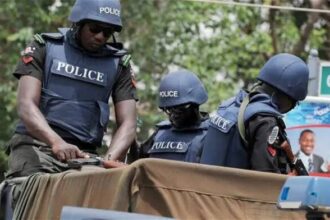 Police Rescue Kidnap Victims In Benue Forest Raid, Arrest 7