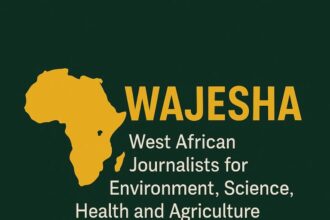 West African journalists condemn rising xenophobic incidents in South Africa