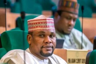 2027: Kano lawmaker, Wakili dumps ADC