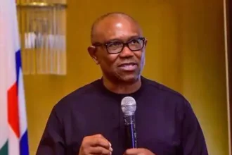 2027: Peter Obi promises fair, inclusive democracy