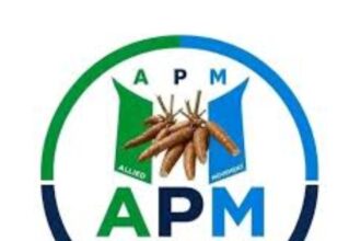 2027: We won’t be tied to any godfather – APM