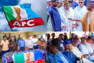 Candidates Emerge as APC Holds Reps Primaries Across States