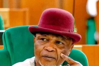 Chinda: Only Speaker can declare lawmaker’s defection during plenary – Lawyers