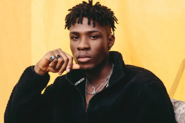 Ego, competition destroying collaborations among Nigerian artists – Joeboy