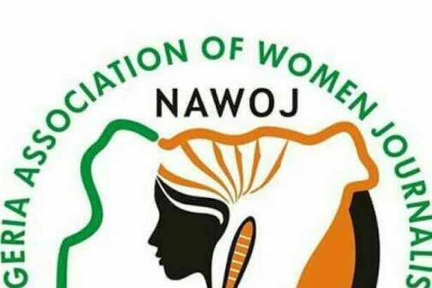 Ensure women inclusion in electoral positions — Osun NAWOJ to politicians