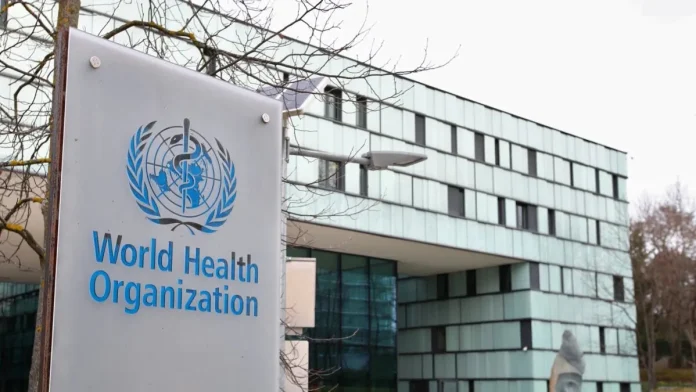 Hantavirus Scare: No Cause for Panic, Public Risk Low, Says WHO 