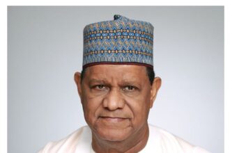 Hayatu-Deen picks ADC presidential form, promises action on insecurity
