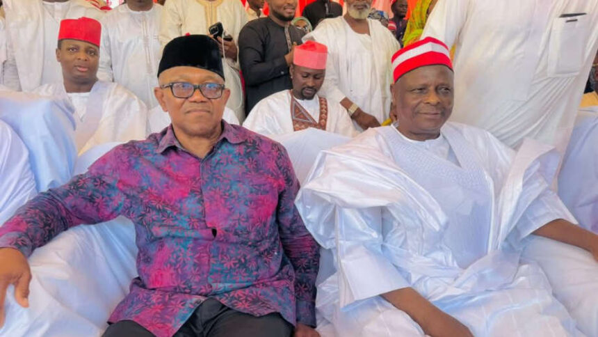 I’m not happy Peter Obi, Kwankwaso left, it’s a setback – ADC spokesman