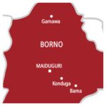 ISWAP fighter surrenders to troops in Borno