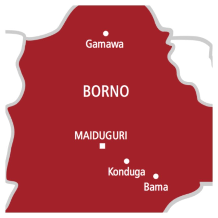 ISWAP fighter surrenders to troops in Borno