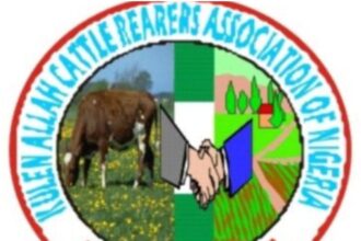 KACRAN urges protection of cattle routes, revival of grazing reserves nationwide