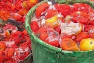 Lagos Warns Against Consumption of Spoiled Tomatoes
