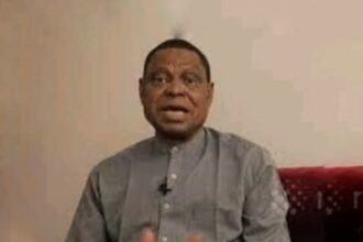 Nigerian Researcher Records Breakthrough In Infertility, Enlarged Heart Treatments
