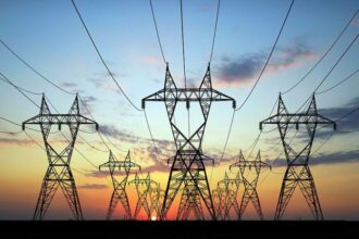NISO Blames Egbin Power Collapse For Lagos Blackout