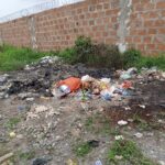 Ogun Govt shuts automobile assembly plant for waste burning