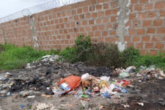 Ogun Govt shuts automobile assembly plant for waste burning