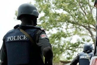 Police arrest 149 suspected thugs in Kano, recover arms