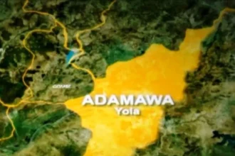 Security forces arrest five suspected criminals in Adamawa