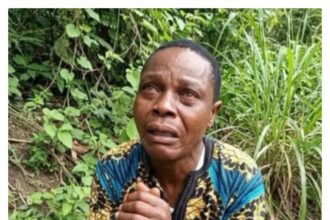 Sowore blasts Tinubu over insecurity after Oyo school attack