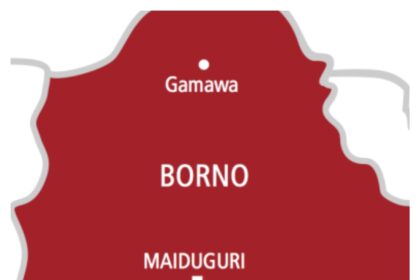 Terrorist rivalry behind Borno schoolchildren abduction – BOSYA President