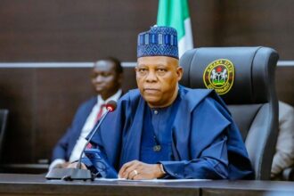 Why Tinubu kept subsidy removal top secret before his swearing in- Shettima