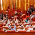 Xenophobic attack: We can take this fight to South African territory – Senate talks tough