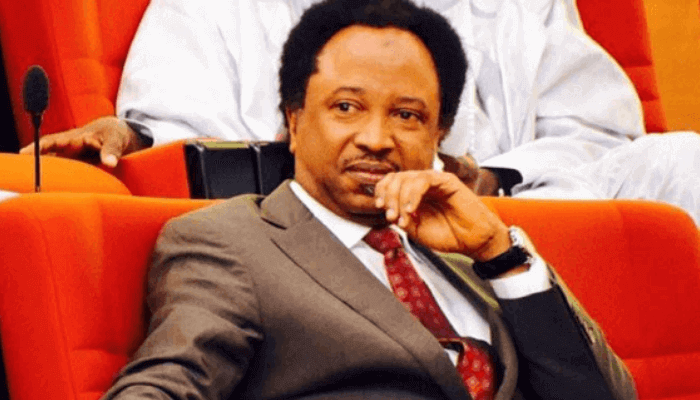 2026 World Cup: South Africa paying for xenophobic mobs – Shehu Sani