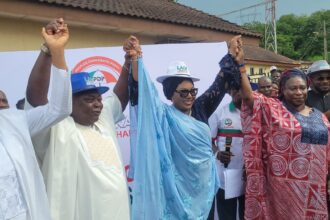 2027: Ogun PDP names veteran journalist, Yemi Sowunmi-Kolapo as deputy governorship candidate