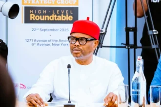 Uche Nnaji