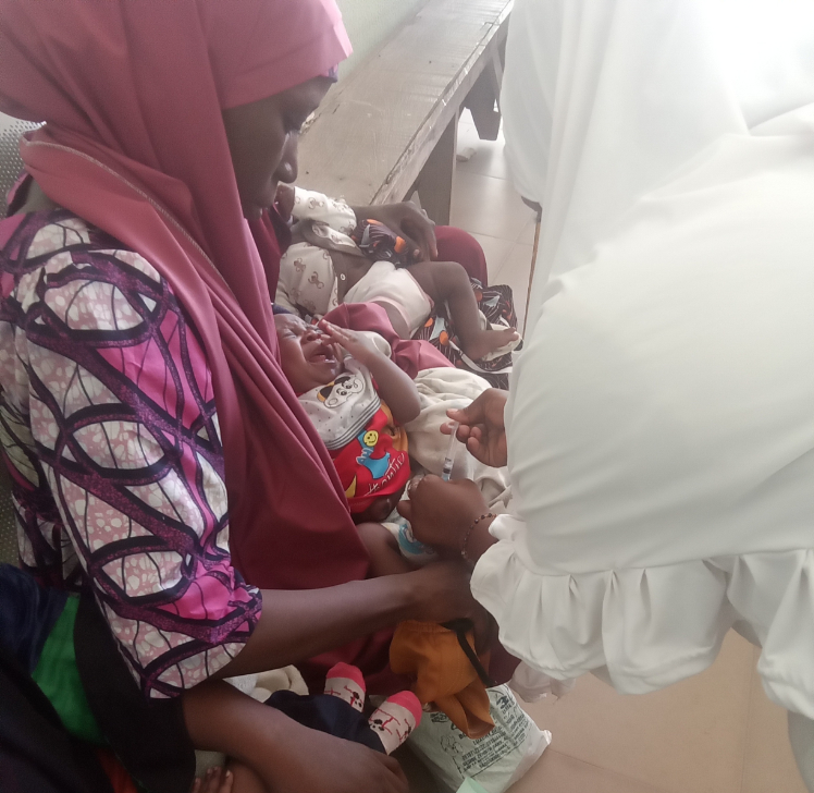Adamawa conducts mop-up vaccination for zero-dose, under-immunised children