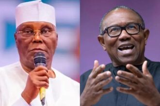 Atiku, Peter Obi don’t want to hear good news of Nigeria’s improved foreign reserves – Presidency