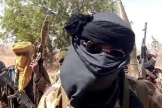 Bandits release schoolchildren, others after 36 days in captivity 