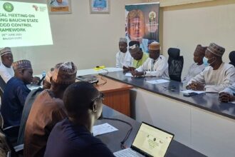 Bauchi moves to domesticate tobacco control  law