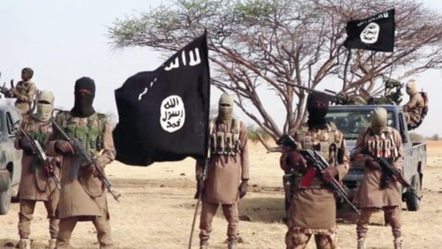 Borno: 50-year-old Boko Haram, ISWAP member surrenders after escaping enclave