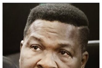 BREAKING: LPPC suspends Mike Ozekhome’s SAN rank