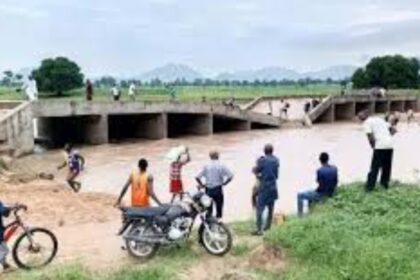 Collapsed bridge disrupts movement, economic activities in Taraba communities