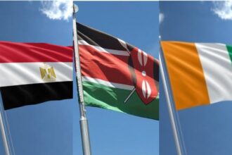 Five African countries among highest IMF borrowers