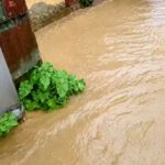 Heavy rain triggers first flash floods in Adamawa communities