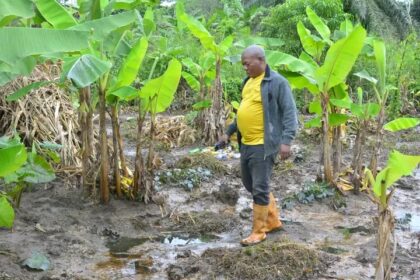 Homes, farms damaged as pipeline explosion rocks Abia community