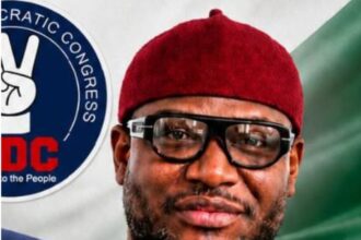 Imo senatorial aspirant, Nwachukwu drags NDC to court over ticket denial  