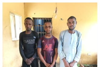 Insecurity: Army captures suspected terrorists informants, recovers cash, devices in Niger