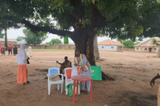 Kebbi Assembly by-election: Low turnout recorded in Zuru as voting begins