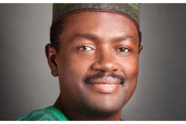 Nasarawa North by-election: Maku loses as INEC declares APC’s Envu-Alanza winner