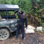 Navy uncovers hidden fuel stash, recovers 63,290 litres of diesel in Rivers