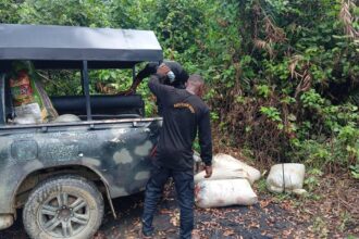Navy uncovers hidden fuel stash, recovers 63,290 litres of diesel in Rivers