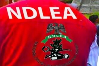 NDLEA arrests two over alleged sale of illicit drugs to secondary school students in Abia 