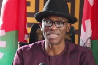 Nenadi Usman intruder in Labour Party – Abure