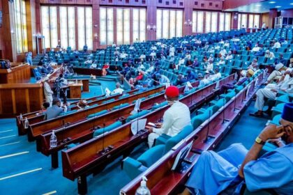 ‘Nigeria is bleeding’ – Reps Minority Caucus asks Tinubu to overhaul security architecture
