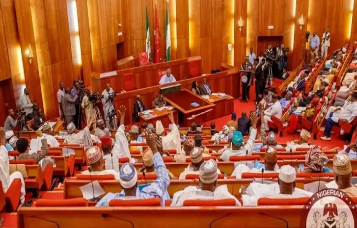 Nigeria moves closer to state police as Senate passes key amendment amid worsening insecurity 